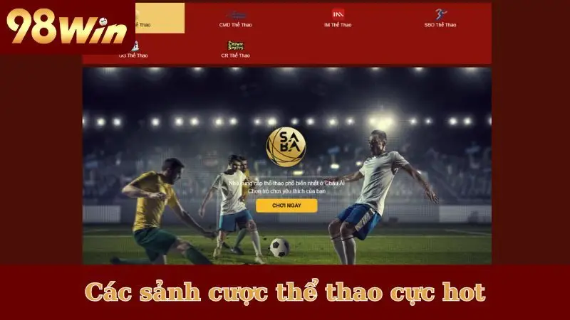 Các sảnh cược thể thao cực hot cho người chơi